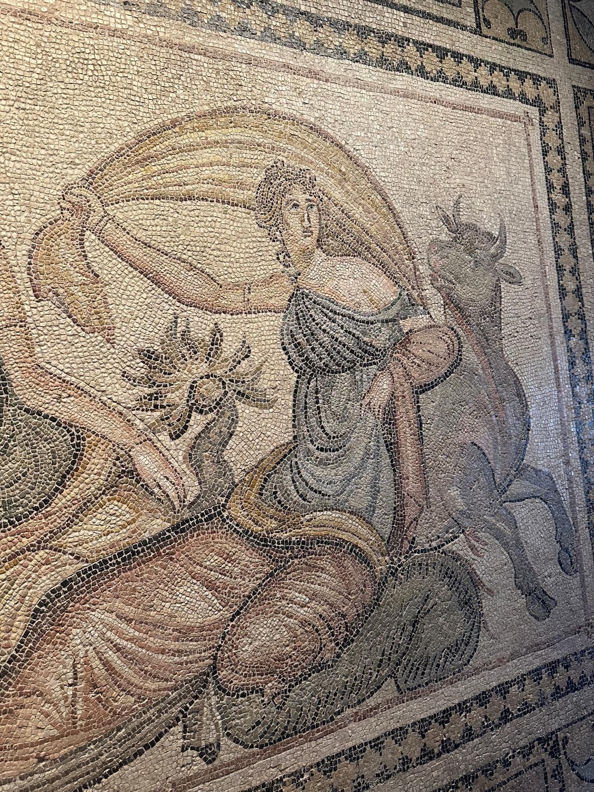 Full Day Gaziantep Mosaics & Culinary Tour